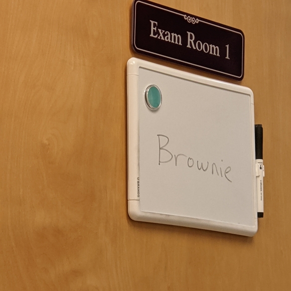 BROWNIE Original post *** SALES HELP MY DOG*** 🐾 - Picture 1 of 3